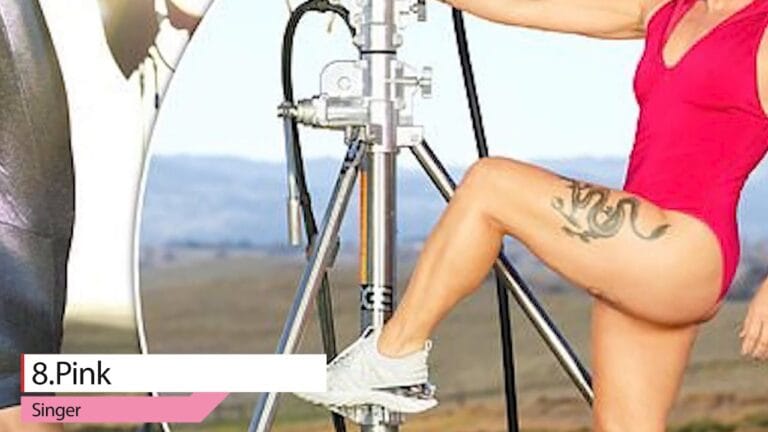 Pink – TeamMovies Celebrity Features