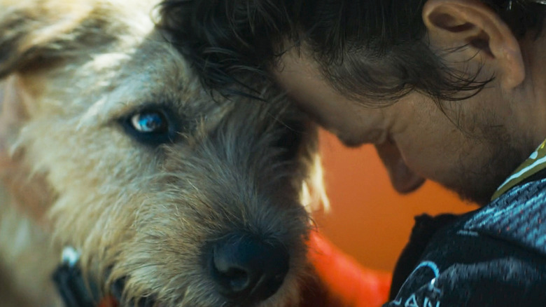 Mark Wahlberg's Michael Light hugs Ukai's Arthur the dog in Arthur the King