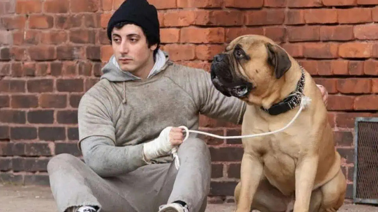Sylvester Stallone as Rocky takes Butkus the dog for a run in I Play Rocky