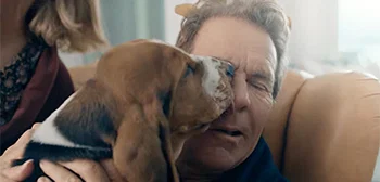A Dog's Perfect Christmas Trailer