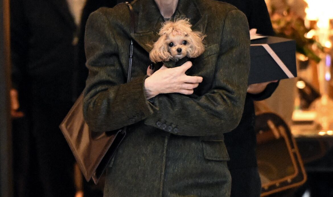 Celine Dion holding her dog, Madison, while leaving her hotel in Paris, accompanied by her sons.