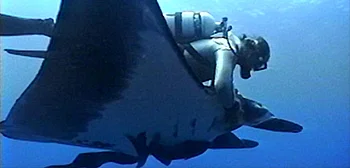 The Last Dive Doc Trailer